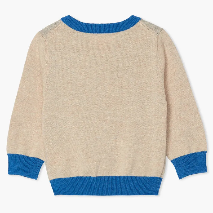 Cheerful Bear V-Neck Baby Sweater