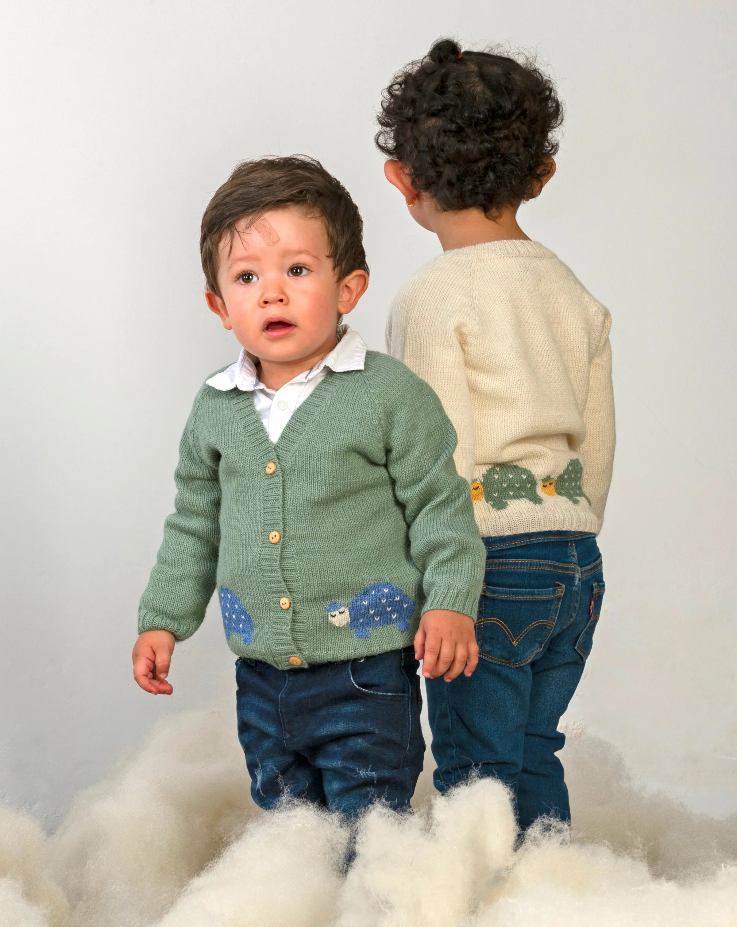 NW501 TURTLE MOSS CARDIGAN