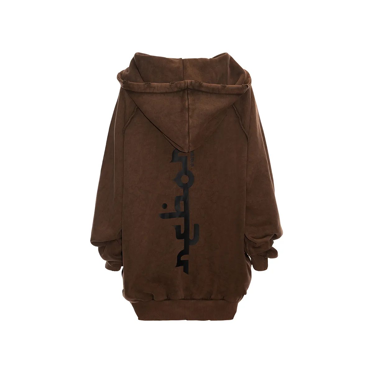 Washed Out Hoodie with Reborn Logo